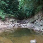 Thumbnail of new posts 185