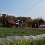 Thumbnail of new posts 130