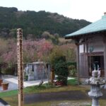 Thumbnail of new posts 162