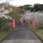 Thumbnail of new posts 097