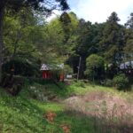 Thumbnail of new posts 159